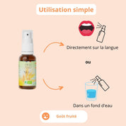 Jolie peau & Digestion - Cure BIO Nice Skin