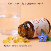 Onagre & Bourrache