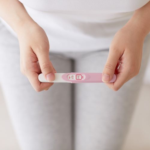 Ovulation &amp; Fertilité
