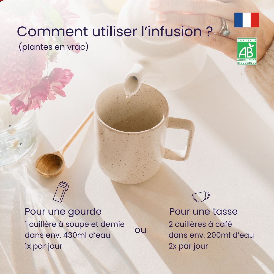 Jolie peau & Digestion - Infusion BIO Nice Skin