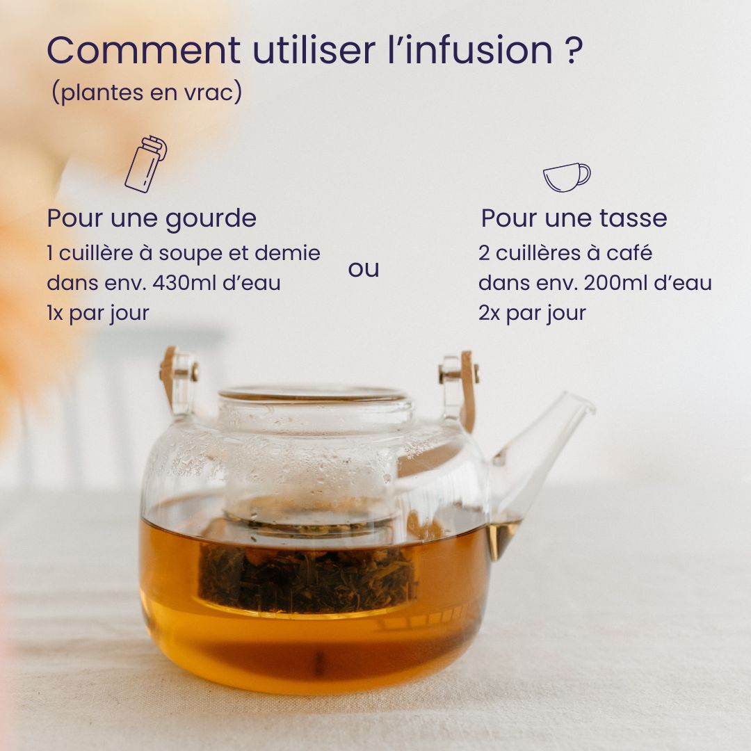 Jolie peau & Digestion - Infusion BIO Nice Skin